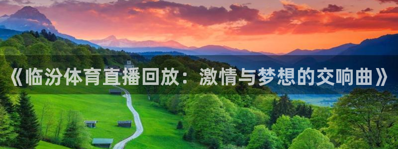 《临汾体育直播回放：激情与梦想的交响曲》