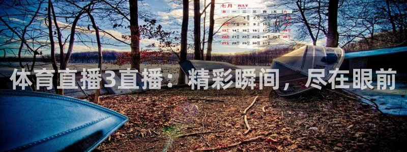 体育直播3直播：精彩瞬间，尽在眼前